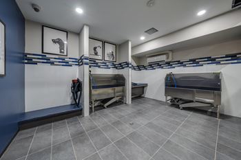 Dog wash and self-service grooming area